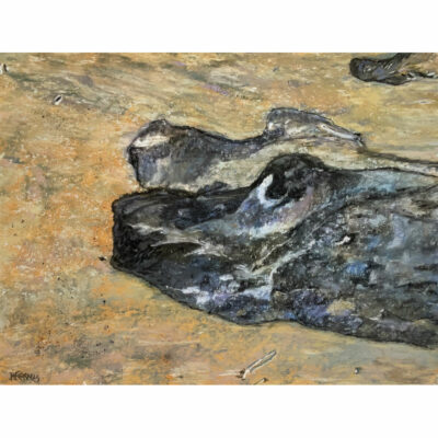 "Dog and dogue (sur le sable) "