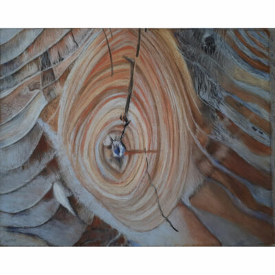 "Le perroquet ( nervures de bois)     "