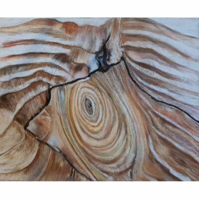 "L'ébouriffe  ( nervures de bois)"