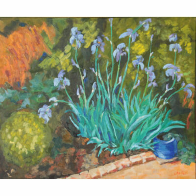"Féerie au jardin (les iris)"