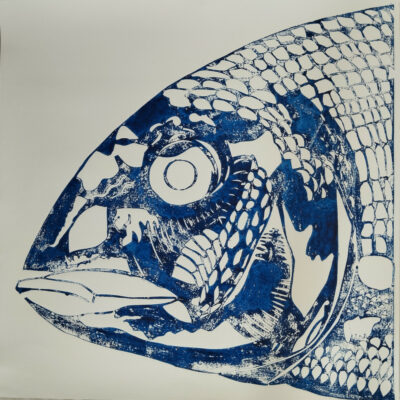 "Tête de daurade n°1 "