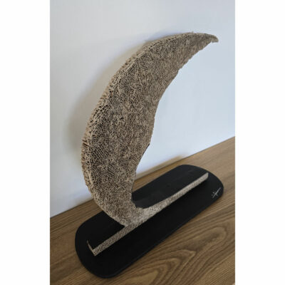 "La voile du renouveau"