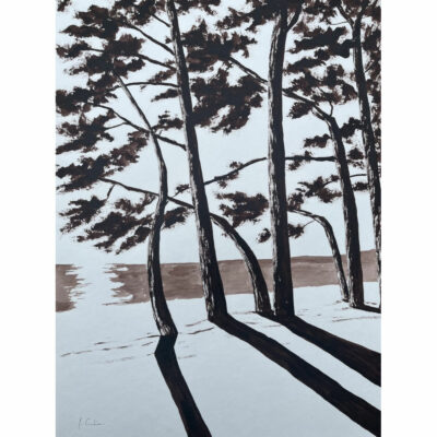 "Plage du Cap Coz - Terre d’ombre brûlée"