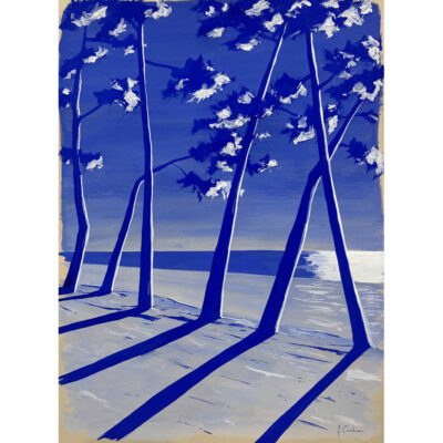 "Cap Coz ultramarine "