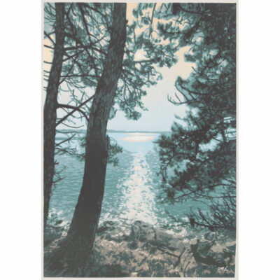 «Reflets ensoleillés entre les pins II "