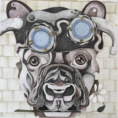 "Bull or Dog "