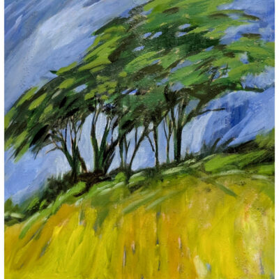 "Colline jaune"