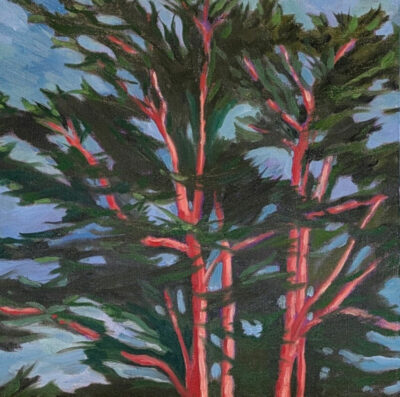 "Cyprès 1"