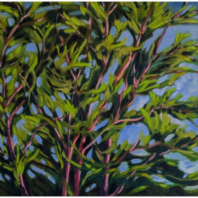 "Cyprès 2"