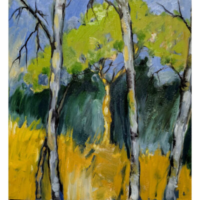 "Le saule du jardin"