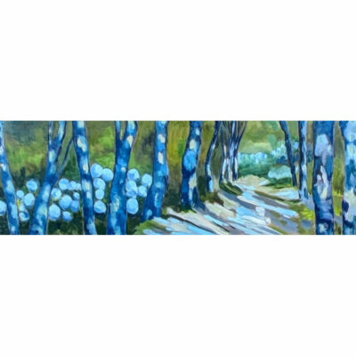 "Les Açores 1"