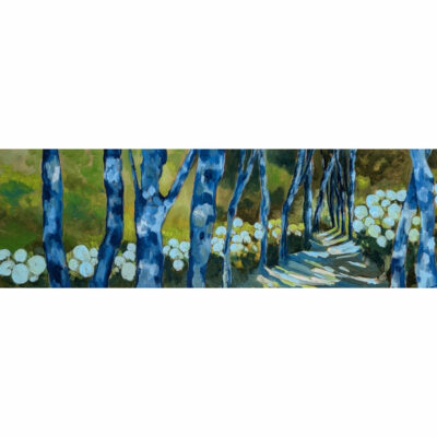 "Les Açores 2"