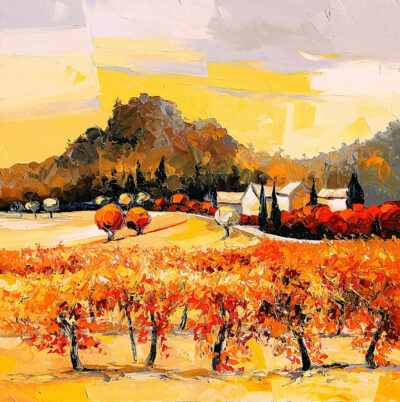 "Vignes du Lubéron"