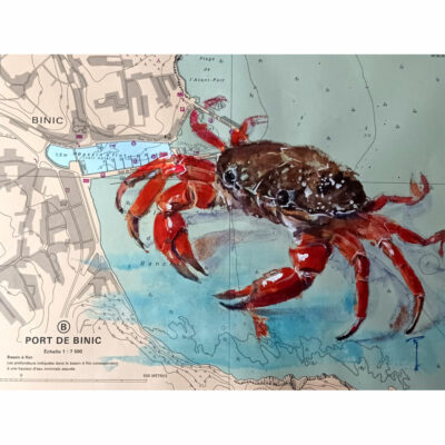 "Crabe à Binic"