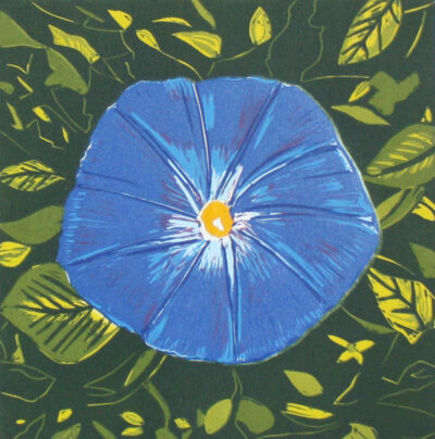 "Ipomée 2"
