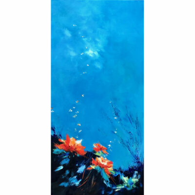 "Outremer  14"