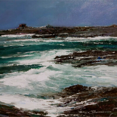 "La côte sauvage n° 2493"