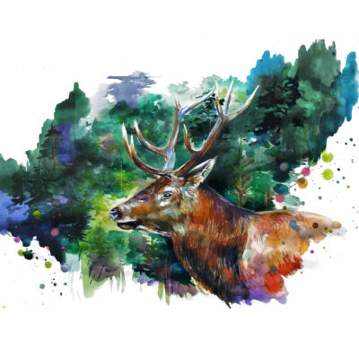 "Cerf"