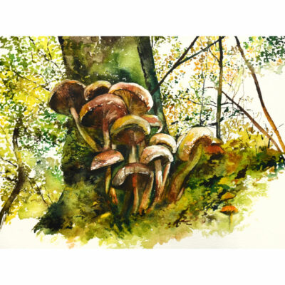 "Champignons"