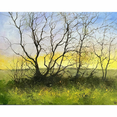 "Coucher de soleil"