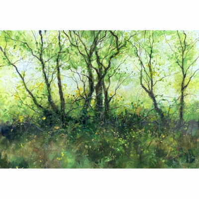"L'été dans le bois"