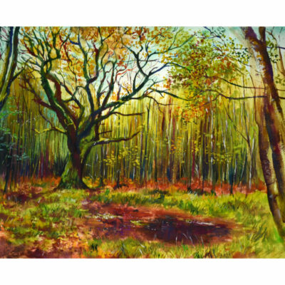 "L’arbre de Paimpont"