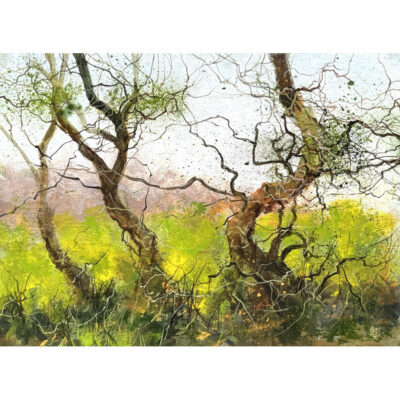 "L'aube naissante"