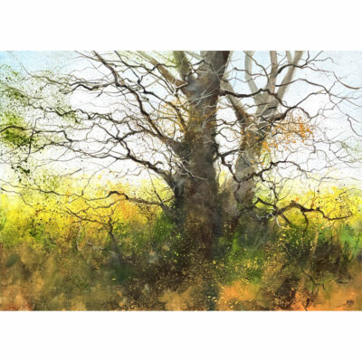 "Le fouillis naturel"