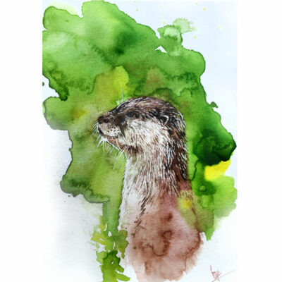 "Loutre"