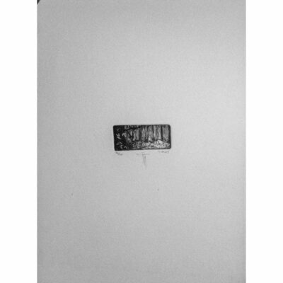 "L'emplacement"