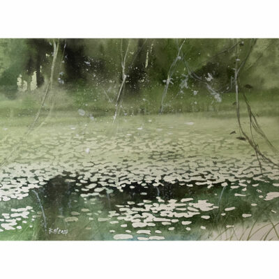 "La lumière sur l'eau en forêt"