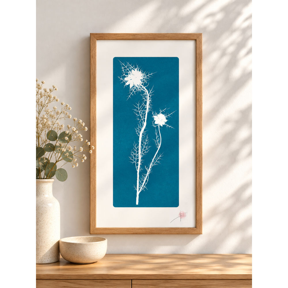 "Nigelle de Damas négatif" – Image 3