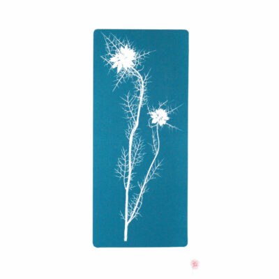 "Nigelle de Damas négatif"