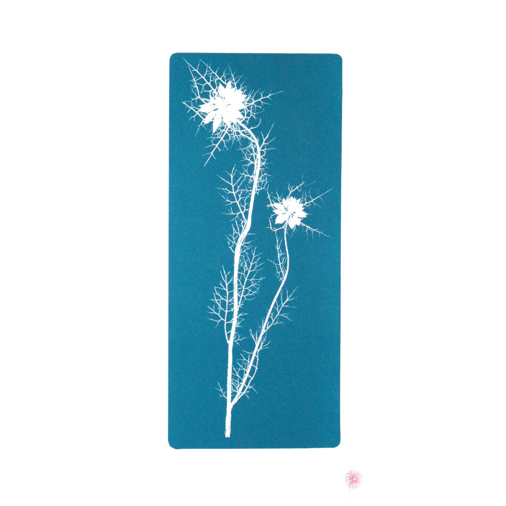 "Nigelle de Damas négatif"