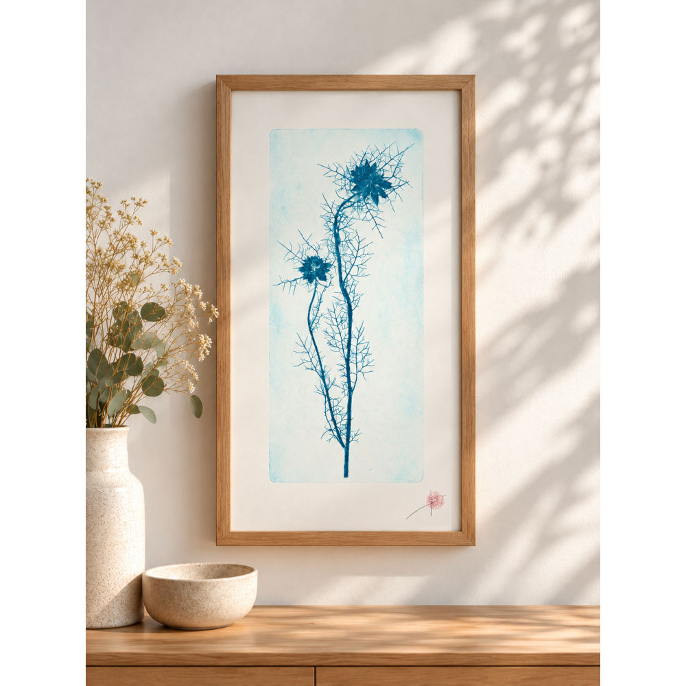 "Nigelle de Damas positif" – Image 2