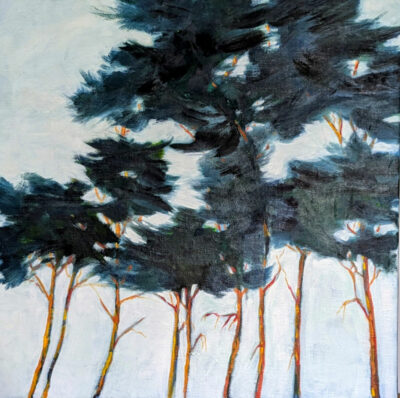 "Pinède 2"