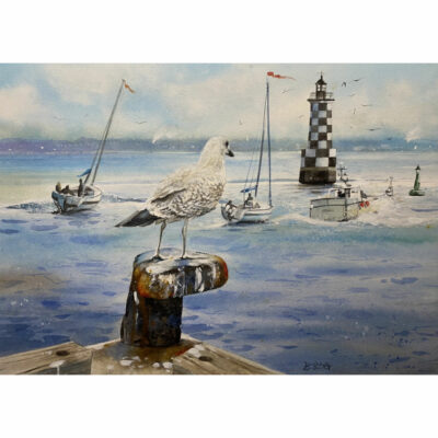 "Régate improvisée"
