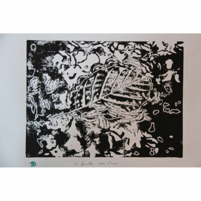 "La feuille sur l’eau"