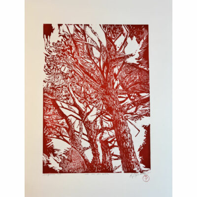 "La vie des arbres"