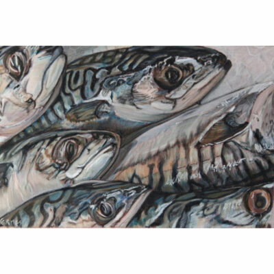 "Maquereaux "